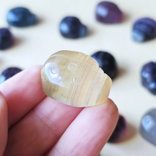 Rainbow Fluorite Ladybug | The Lucky Ladybirds