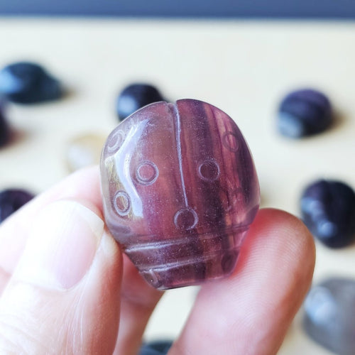 Rainbow Fluorite Ladybug | The Lucky Ladybirds