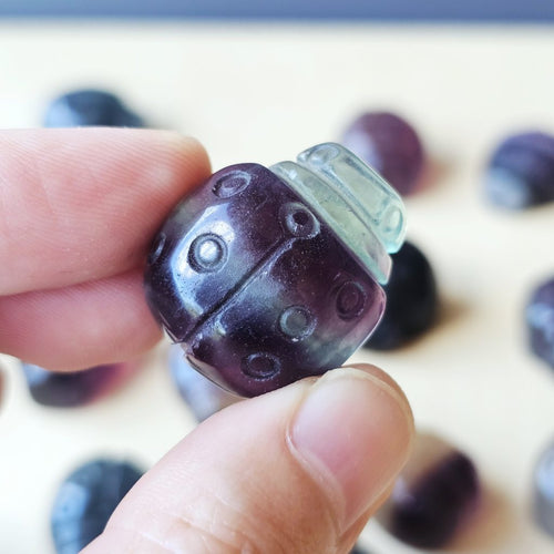 Rainbow Fluorite Ladybug | The Lucky Ladybirds