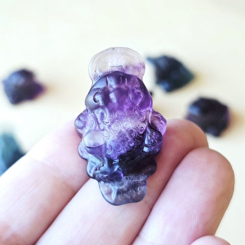 Rainbow Fluorite Money Toad | Fluorite Fortune Toad
