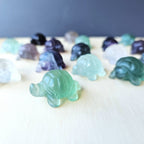 Rainbow Fluorite Tortoises | The Calm Travellers