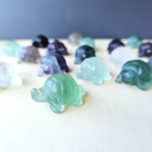 Rainbow Fluorite Tortoises | The Calm Travellers