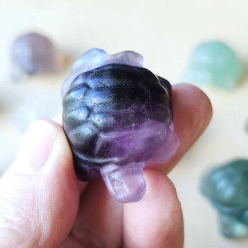 Rainbow Fluorite Tortoises | The Calm Travellers