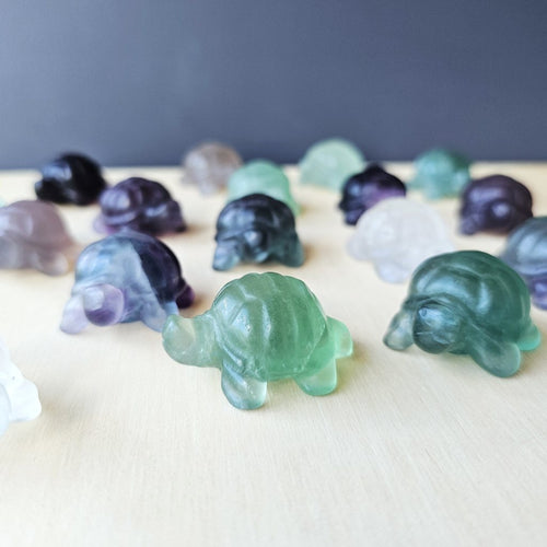 Rainbow Fluorite Tortoises | The Calm Travellers