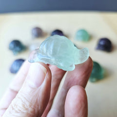 Rainbow Fluorite Tortoises | The Calm Travellers