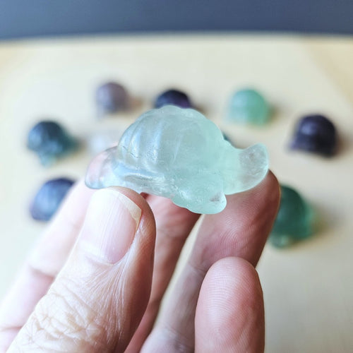 Rainbow Fluorite Tortoises | The Calm Travellers