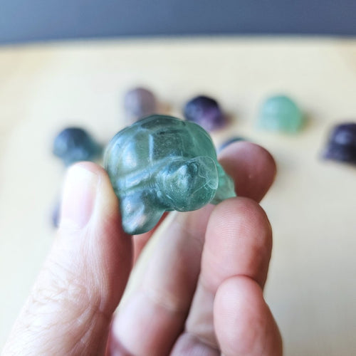 Rainbow Fluorite Tortoises | The Calm Travellers