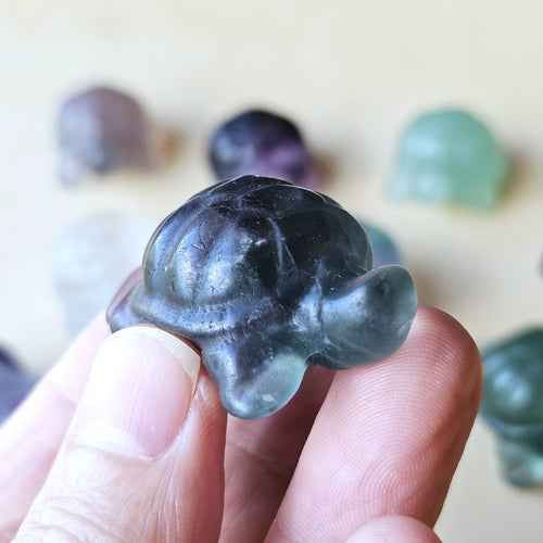 Rainbow Fluorite Tortoises | The Calm Travellers