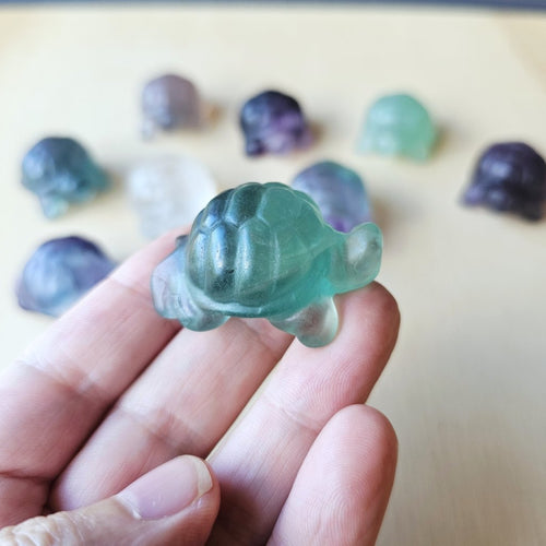 Rainbow Fluorite Tortoises | The Calm Travellers