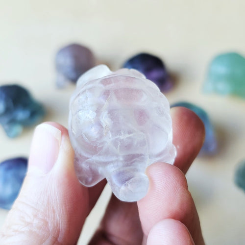 Rainbow Fluorite Tortoises | The Calm Travellers