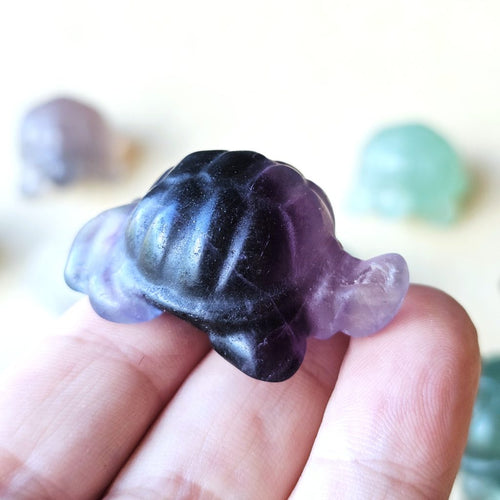 Rainbow Fluorite Tortoises | The Calm Travellers