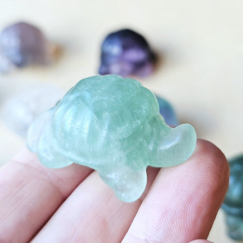 Rainbow Fluorite Tortoises | The Calm Travellers