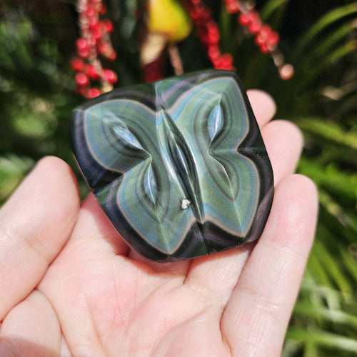 Rainbow Obsidian Butterfly | Rainbows Of Expansion