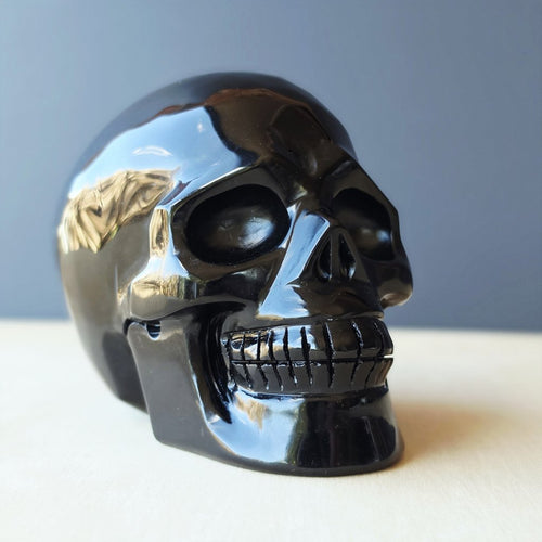 Rainbow Obsidian Skull | Rainbow Guardian