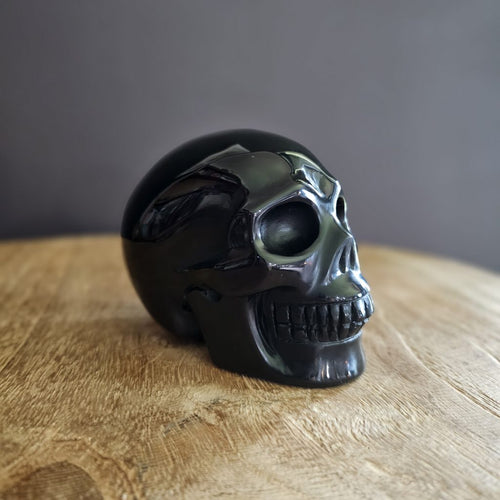 Rainbow Obsidian Skull | Rainbow Light Guardian