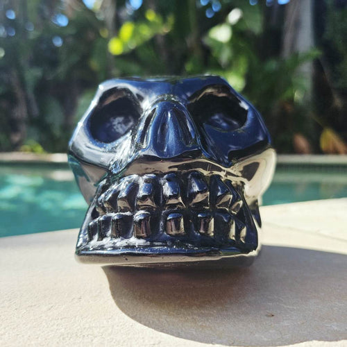 Rainbow Obsidian Skull | Rainbow Warrior