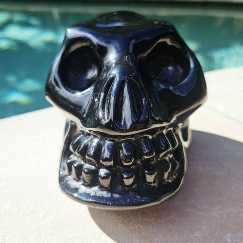 Rainbow Obsidian Skull | Rainbow Warrior
