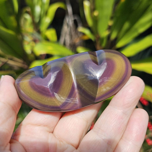 Rainbow Obsidian Twin Heart | Hearts In Harmony