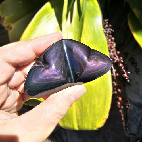 Rainbow Obsidian Twin Heart | Twilight Embrace