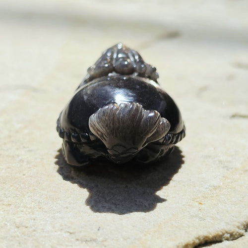 Rainbow Sunstone & Black Moonstone Dragon Turtle | Rainbow Longgui
