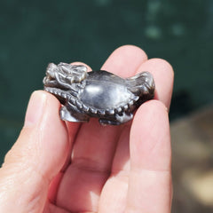 Rainbow Sunstone & Black Moonstone Dragon Turtle | Rainbow Longgui