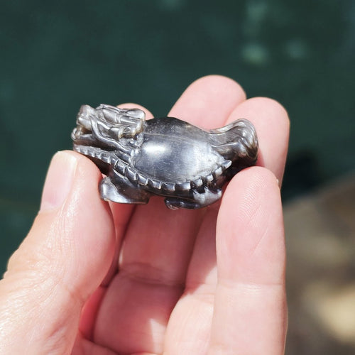 Rainbow Sunstone & Black Moonstone Dragon Turtle | Rainbow Longgui