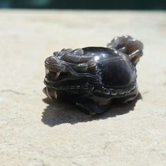Rainbow Sunstone & Black Moonstone Dragon Turtle | Rainbow Longgui
