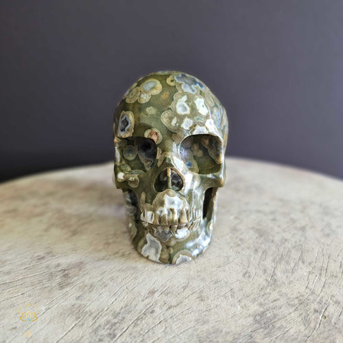 Rainforest Jasper Skull | Guardian Of Balance