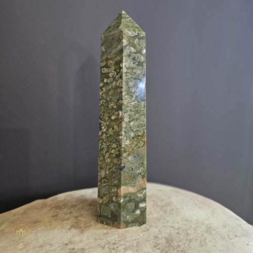 Rainforest Jasper | Tower 1.017kgs