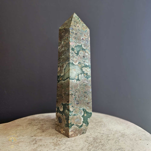 Rainforest Jasper | Tower 1.097kgs