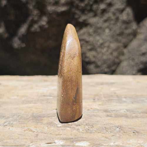 Rare Large Blonde Yowah Nut Opal | Freestanding Polished Specimen 420 Cts