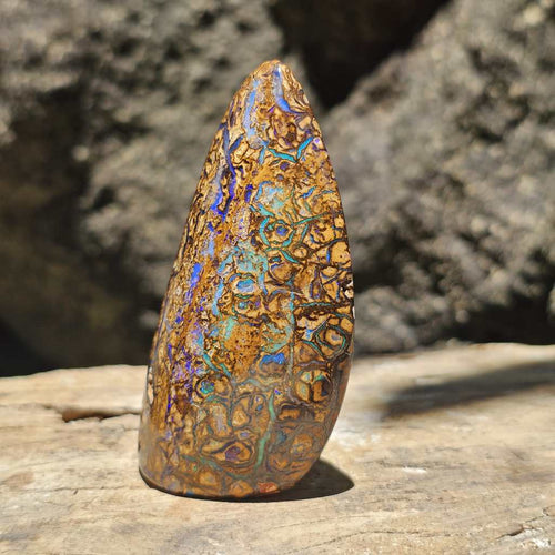 Rare Large Yowah Nut Opal | Freestanding Polished Specimen 490 Cts