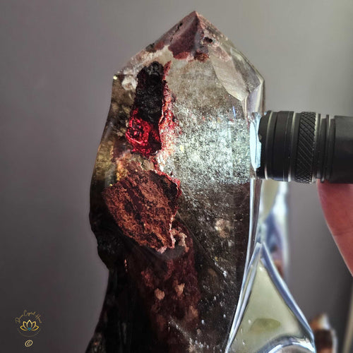 Red Garden Quartz | Ethereal Roots