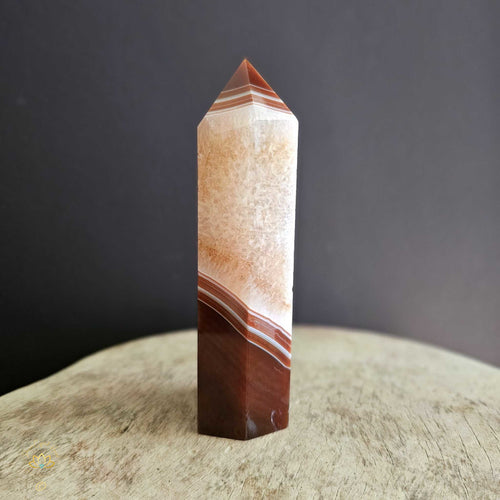 Red Sardonyx | Generator 358gms