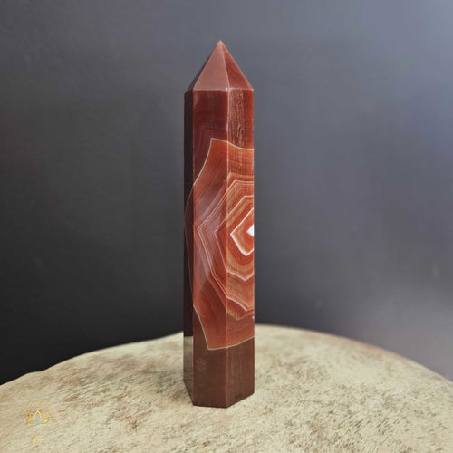 Red Sardonyx | Generator 412gms