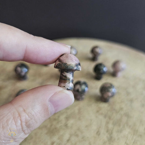 Rhodonite Mini Mushrooms