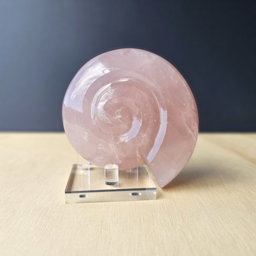 Rose Quartz Ammonite | 371gms