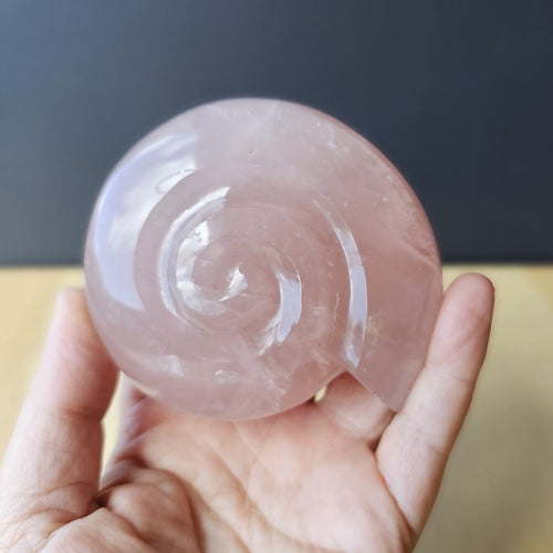 Rose Quartz Ammonite | 371gms