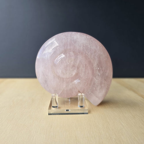 Rose Quartz Ammonite | 659gms
