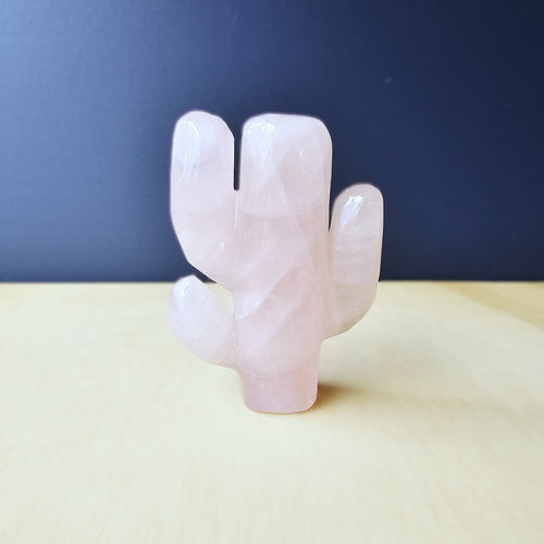 Rose Quartz | Cactus 162gms