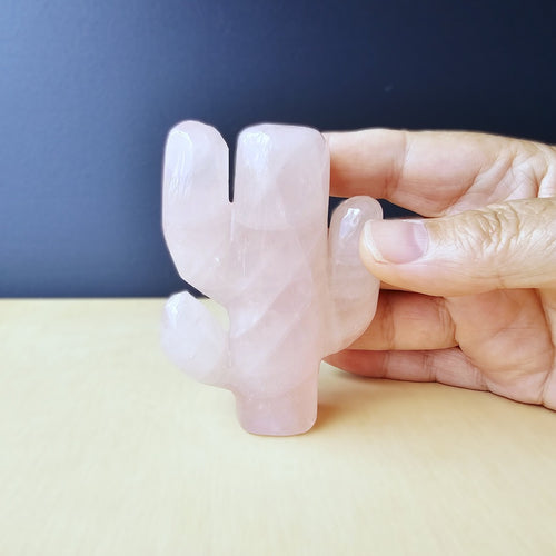 Rose Quartz | Cactus 162gms