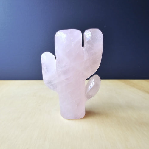 Rose Quartz | Cactus 179gms
