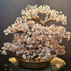 Rose Quartz Crystal Bonsai | Love