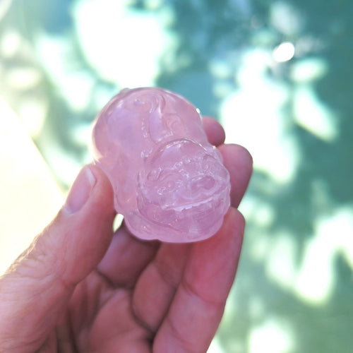 Rose Quartz Pixius | Soft Yet Powerful Protectors