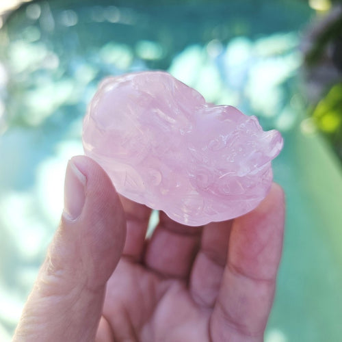 Rose Quartz Pixius | Soft Yet Powerful Protectors