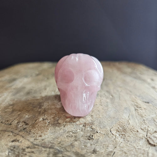 Rose Quartz Reverie | Pumpkin Skull