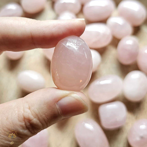 Rose Quartz Tumbled Stones