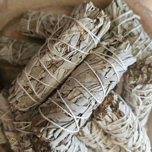 Sage Sticks