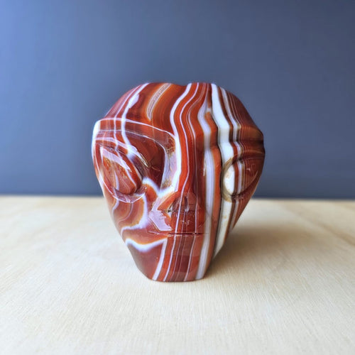 Sardonyx Alien Skull | Galactic Guardian