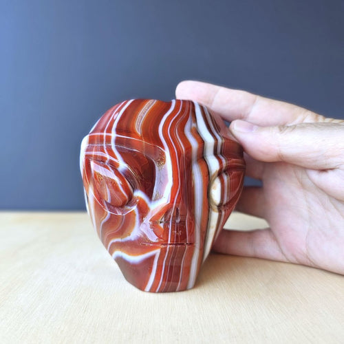 Sardonyx Alien Skull | Galactic Guardian